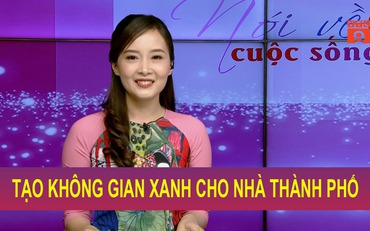 Tạo không gian xanh cho nhà thành phố