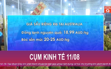 Cụm tin kinh tế ngày 11/8