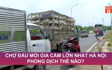 Chợ đầu mối gia cầm lớn nhất Hà Nội phòng dịch thế nào?