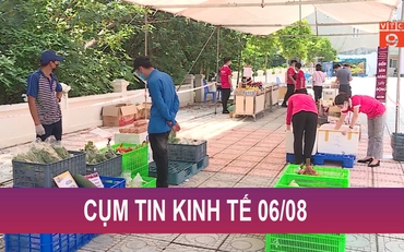 Cụm tin Kinh tế ngày 6/8