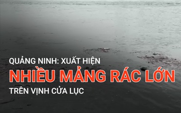 Quảng Ninh: Xuất hiện nhiều mảng rác lớn trên vịnh Cửa Lục