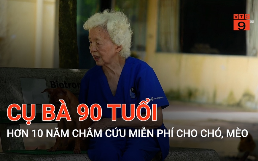 Cụ bà 90 tuổi hơn 10 năm châm cứu miễn phí cho chó, mèo